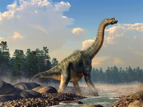 Largest dinosaur skeleton in Europe discovered in Portugal - Earth.com