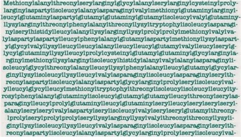 The Top 10 Longest Words in the English Language