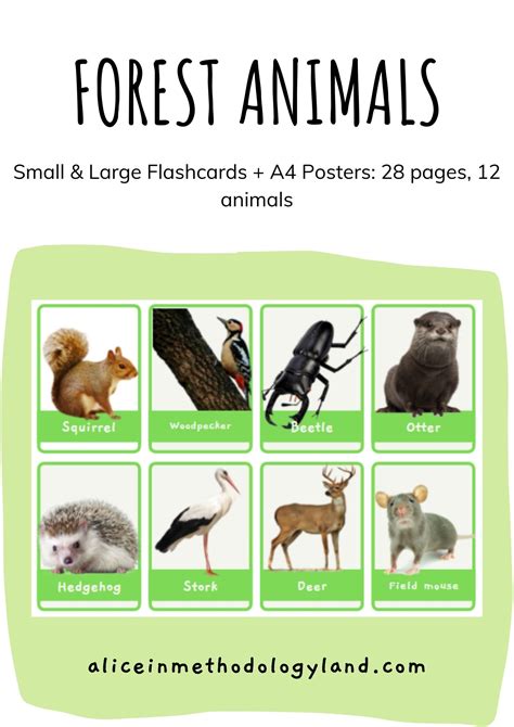 🌳 Forest animals: Small & Large Flashcards + A4 Posters ⋆ Discover ...