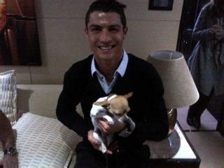 Cristiano Ronaldo Dog / good dog... | Best dogs, Cristiano ronaldo ...