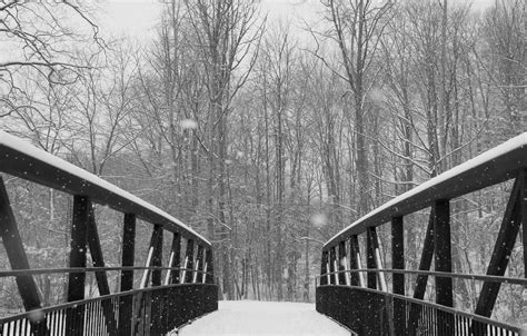 Walking on a bridge in a snow-covered forest. Photography taken by Mandy Wong. All right ...