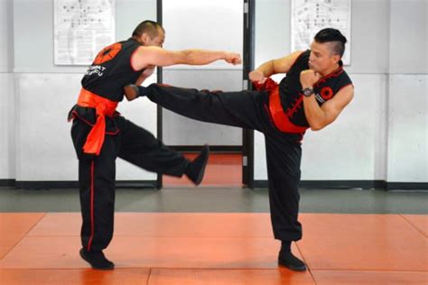 Kicks & Leg Sweeps - Choy Li Fut’s Long Range Weapons - Combat Kung-Fu