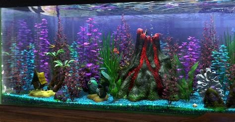 Finding Nemo Fish Tank - The Aquarium Club