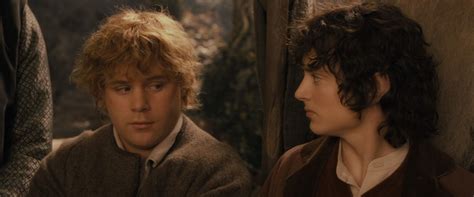 LOTR: Fellowship of the Ring - Frodo & Sam Photo (36084493) - Fanpop