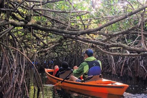 Naples Small-Group Half-Day Everglades Kayak Tour 2023