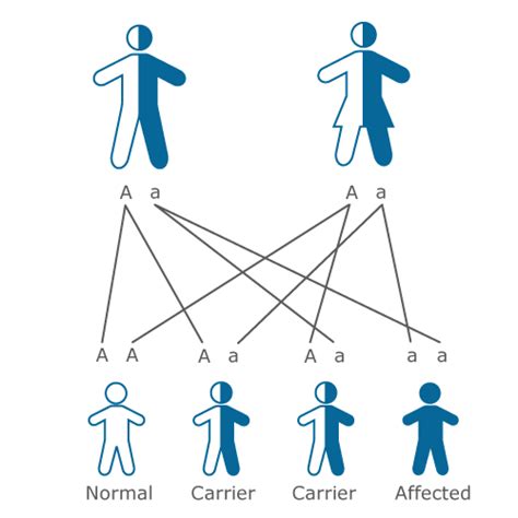 Genetic Disorders - Biology GCSE Revision