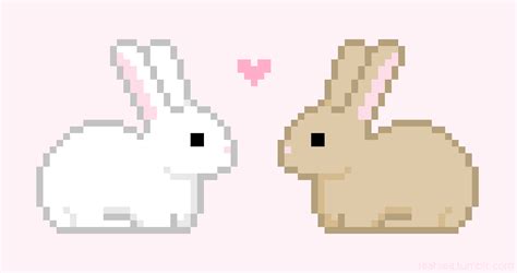 kawaii bunny gifs | WiffleGif