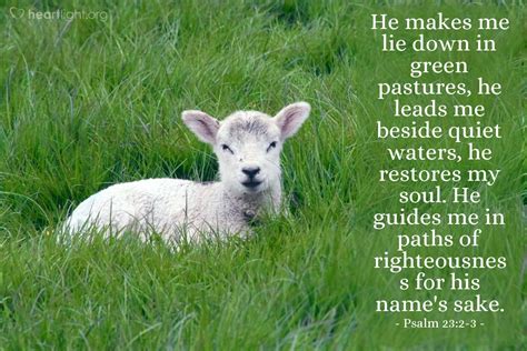 Psalm 23:2-3 Illustrated: "He makes me lie down in green pastures ...