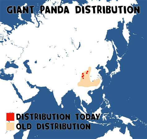 Giant Panda - Untamed Science