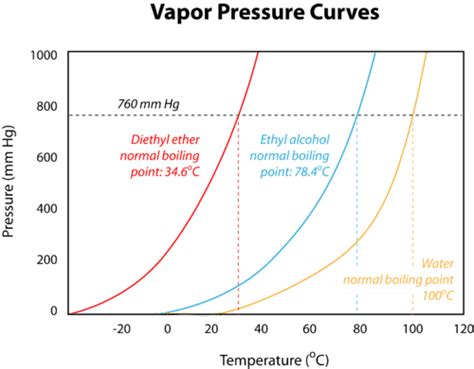 Vapor Pressure and Temperature Graph Study Guide - Inspirit