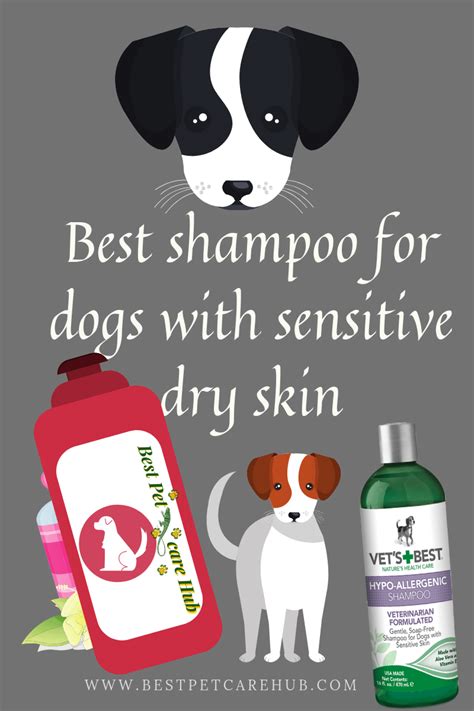 Best shampoo for dogs with sensitive dry skin | Dry sensitive skin, Best shampoos, Dog skin ...