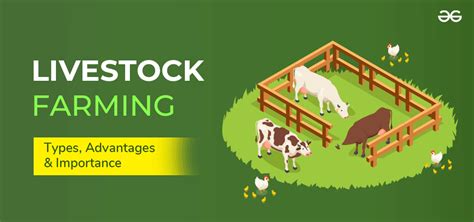 What is Livestock Farming? It's Types, Advantages and Importance ...