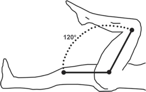 Range of motion in terms of active flexion of hip: knee flexion. | Download Scientific Diagram