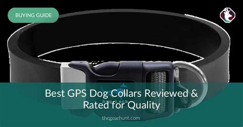 Best GPS Dog Collars Reviewed and Rated in 2017 | TheGearHunt