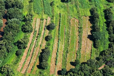 Arable Land From The Air Free Stock Photo - Public Domain Pictures