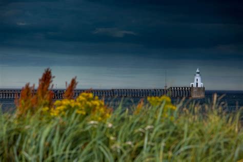 Blyth South Beach - Photo "Blyth pier" :: British Beaches