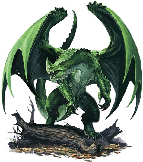 Dungeons And Dragons, Dnd Dragons, Cool Dragons, Gold Dragon, Green Dragon, Black Dragon ...