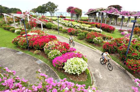 Your complete guide to the best cycling routes in Singapore