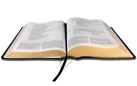 Open Bible PNG Image - PNG All | PNG All