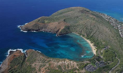 Scientists Find Larger Fish, Clearer Water During Hanauma Bay Closure ...