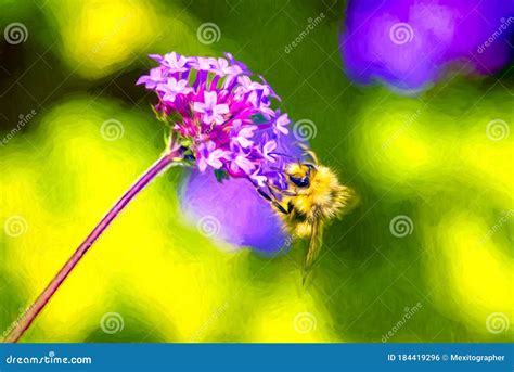 Bumble Bee Pollination stock photo. Image of flora, detail - 184419296