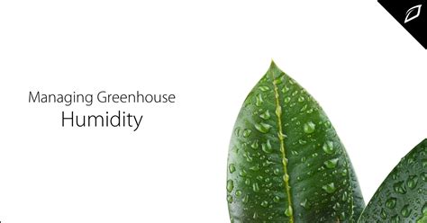 Managing Greenhouse Humidity