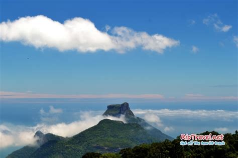 Tijuca Forest - RioTravel