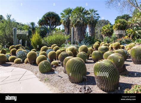 Huntington Library Botanic Gardens Stock Photo - Alamy