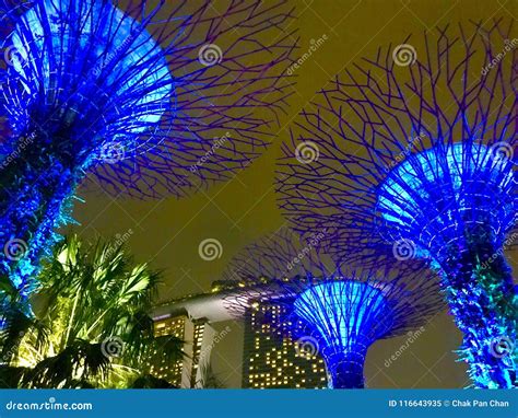 Super Trees at Night - Singapore`s Botanic Garden Stock Image - Image ...