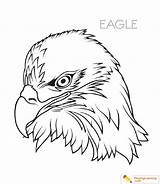 Coloring Pages Of Eagles For Kids sketch template