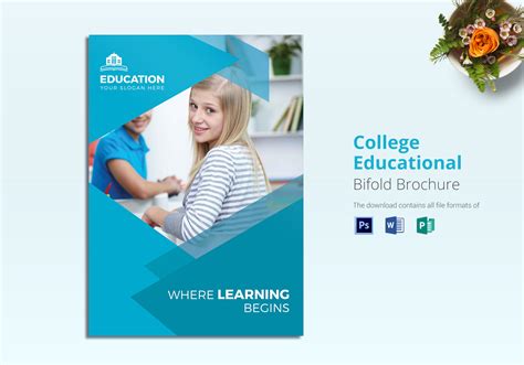 College Educational Brochure Design Template in Word, PSD, Publisher