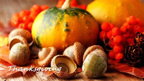 Pumpkin thanksgiving HD wallpaper | Pxfuel