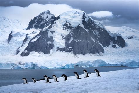 Antarctica Photography Expedition 2021 & 2022 with Daniel...