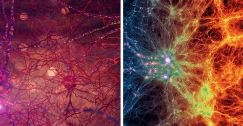 Neural Network & Cosmic Web – Theoscience.org