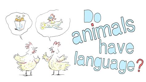 Do animals have language? - Michele Bishop | Language, Learning a second language, Spring writing