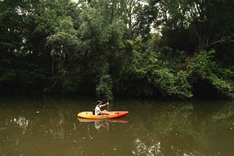 Kandanga Creekside Camping - Hipcamp in Kandanga, Queensland