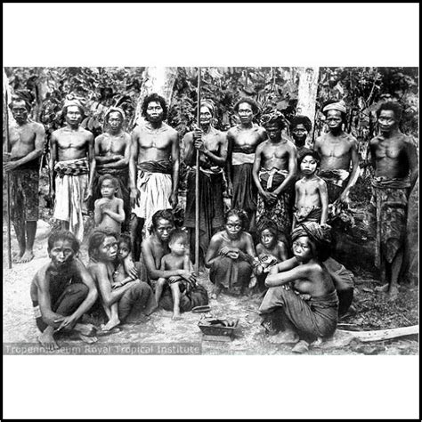 Suku Sasak (for Introduction) | sasak culture | informasi independen