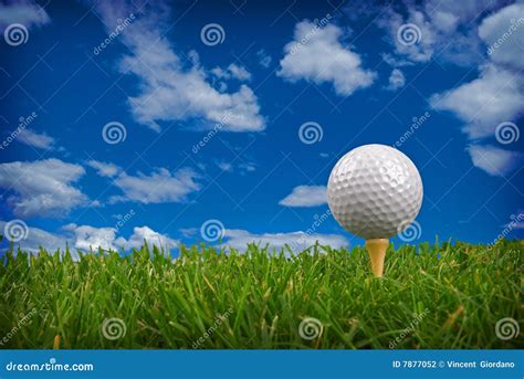 Golf ball close-up stock photo. Image of grass, leisure - 7877052