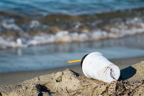 “I Love A Clean San Diego” Group Planning Beach Cleanup | California ...