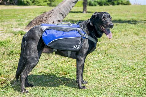 Dog Backpack for Hiking by 2PET Compact Dog Saddlebag for Dogs Adjustable Harness, Comfortable ...