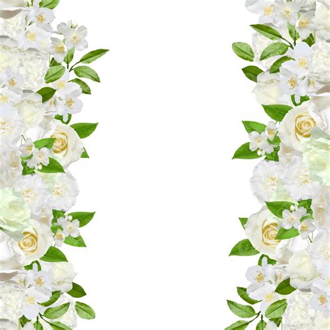 White Flower Transparent | PNG All