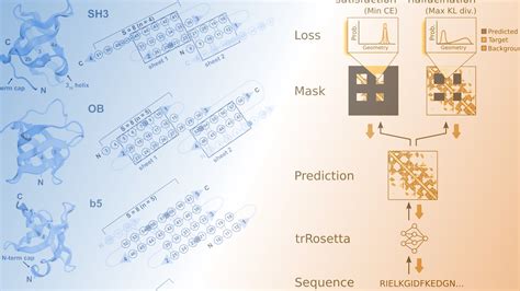 De novo design of small beta barrel proteins - Institute for Protein Design