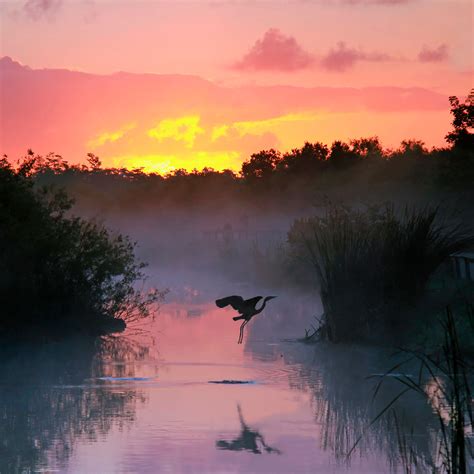 Everglades National Park | Wildlife and Wild Lands