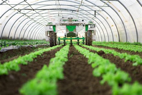 IoT in Agriculture: 7 Practical Uses of the Technology