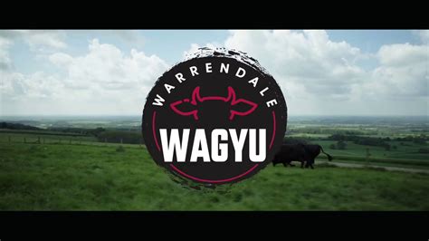 Warrendale Wagyu - YouTube