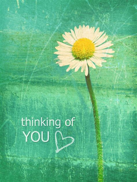 Thinking of you | Thinking of you images, Thinking of you quotes, Thinking of you