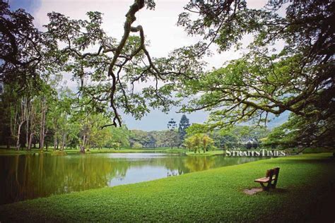 Taiping Municipal Council to use electric bus on Heritage Trail next ...