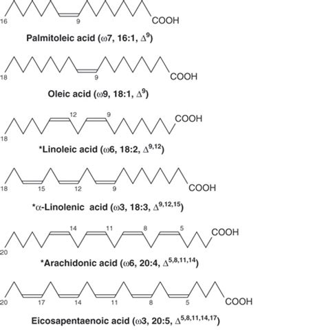 Fatty Acids: Nomenclature Of Fatty Acids