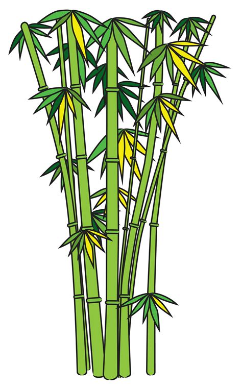 Bamboo Tree Clip Art - ClipArt Best