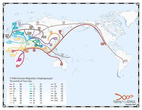 World map of Y-DNA haplogroup migrations [3311x2558] : MapPorn